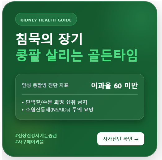 신장 건강 지키는 습관 및 만성 콩팥병 예방 핵심 수칙 요약