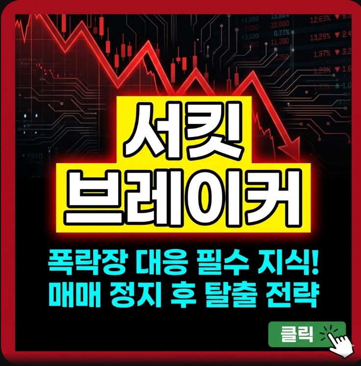 서킷 브레이커