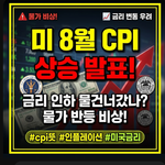 미 8월 CPI 상승